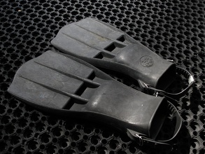 Flippers