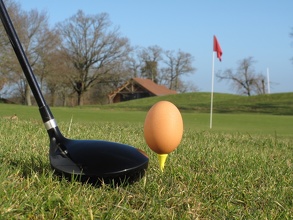 Oeuf en Golf
