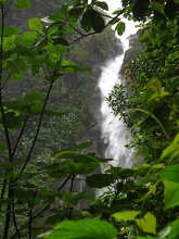 2ème Chute du Carbet