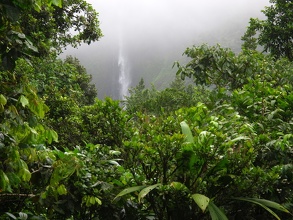 Chute du Carbet