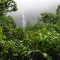 Chute du Carbet