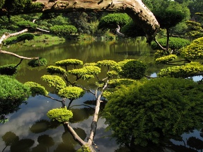 Jardin Japonais de Maulévrier