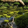 Jardin Japonais de Maulévrier