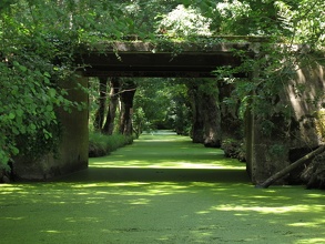 La Venise Verte