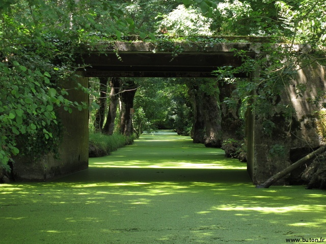 La Venise Verte.JPG