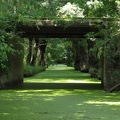 La Venise Verte