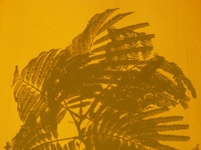 Chinese Shadows