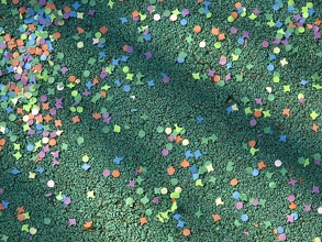 Confettis