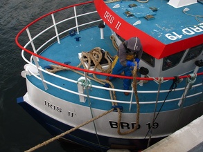 Iris II