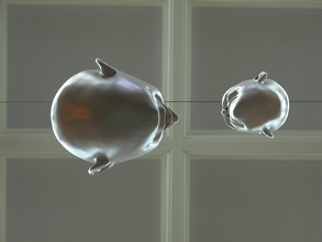 Heads