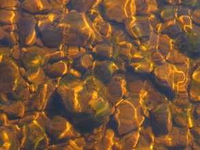 Loch Ness Shallow Water