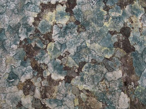 Stone Texture