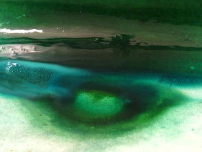Water Marking