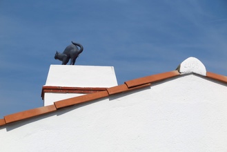 Black Cat on the Roof