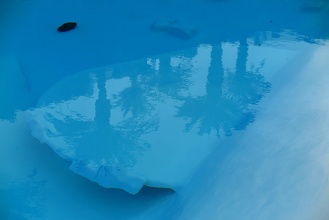 Reflet dans la piscine de César Manrique