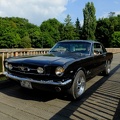 Black Mustang on the wooden Bridge