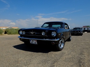 Black Mustang