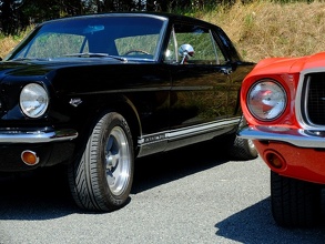 Clin d'oeil de Mustangs