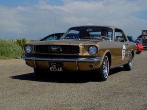 Golden Mustang