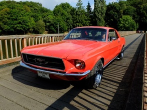 Mustang Rouge sur le pont de bois