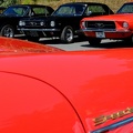 Speedster aginst Mustang