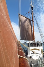 Dans la grand voile de la Fleur