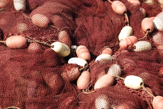 Filet de Pêche