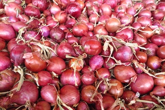 Oignons Rouges