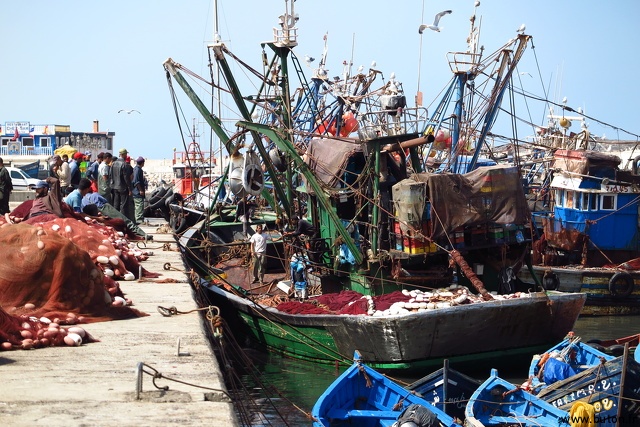 Bateau de Pêche dans le port d\'Essaouira.JPG