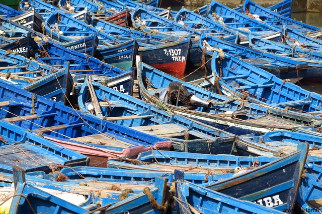 Blue Boats from Essaouira.JPG